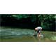 Traitement des eaux us�es