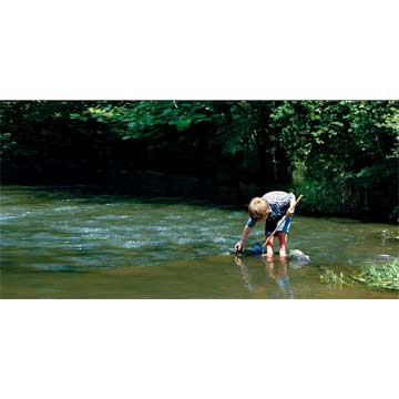 Traitement des effluents