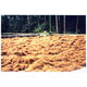 Biofiltre