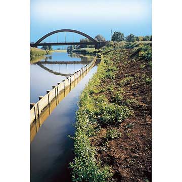 Bois pour soutènements des berges