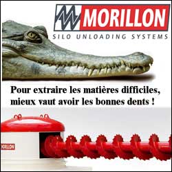 MORILLON SAS