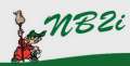 Logo NB2I