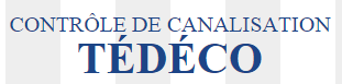 Logo TEDECO