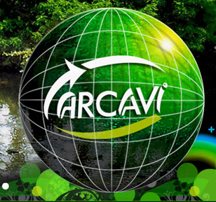 Logo ARCAVI