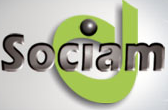 Logo SOCIAM