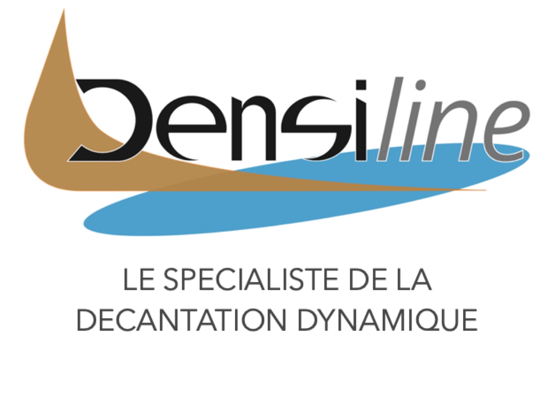 Logo de DENSILINE