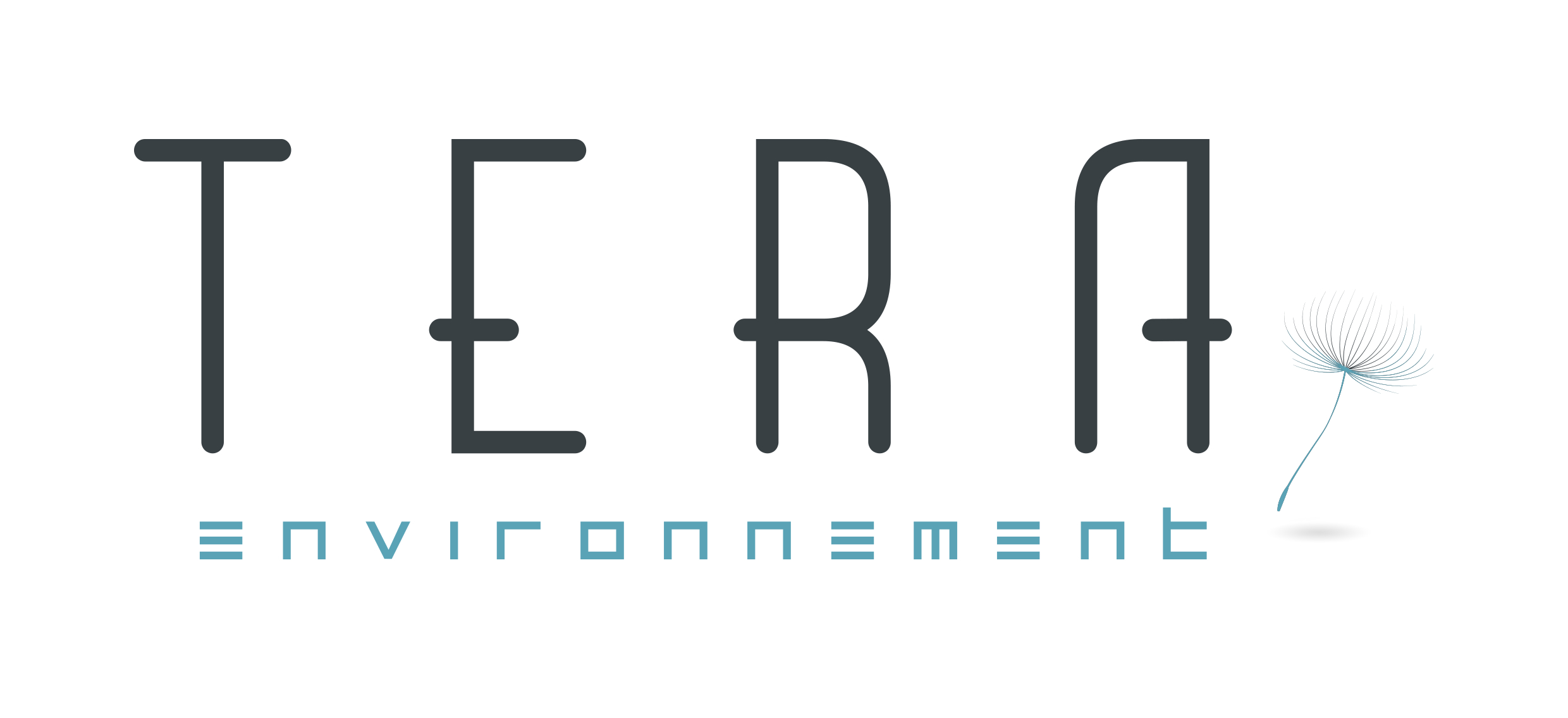 Logo TERA ENVIRONNEMENT
