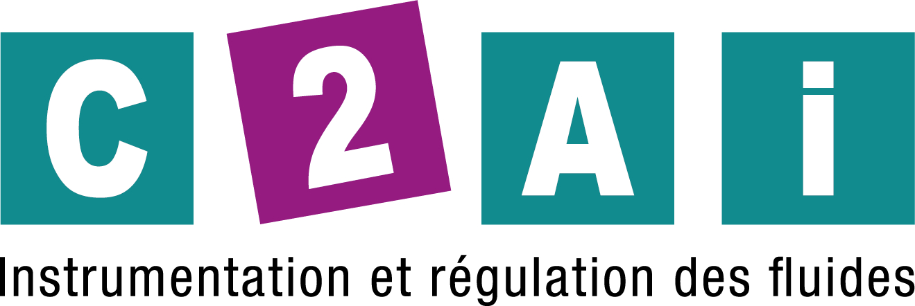 Logo C2AI