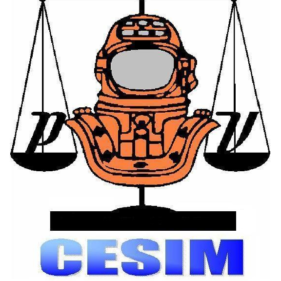 Logo CESIM