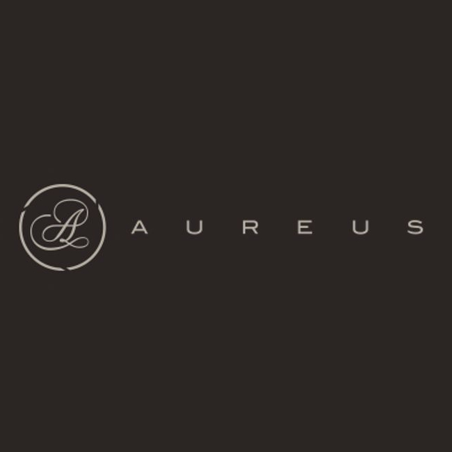 Logo AUREUS FRANCE