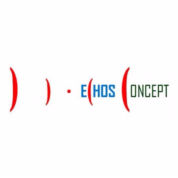 Logo ECHOS CONCEPT