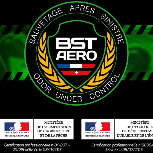 Logo BST AERO
