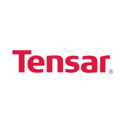 Logo TENSAR INTERNATIONAL