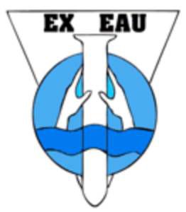 Logo EXEAU