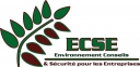 Logo ECSE