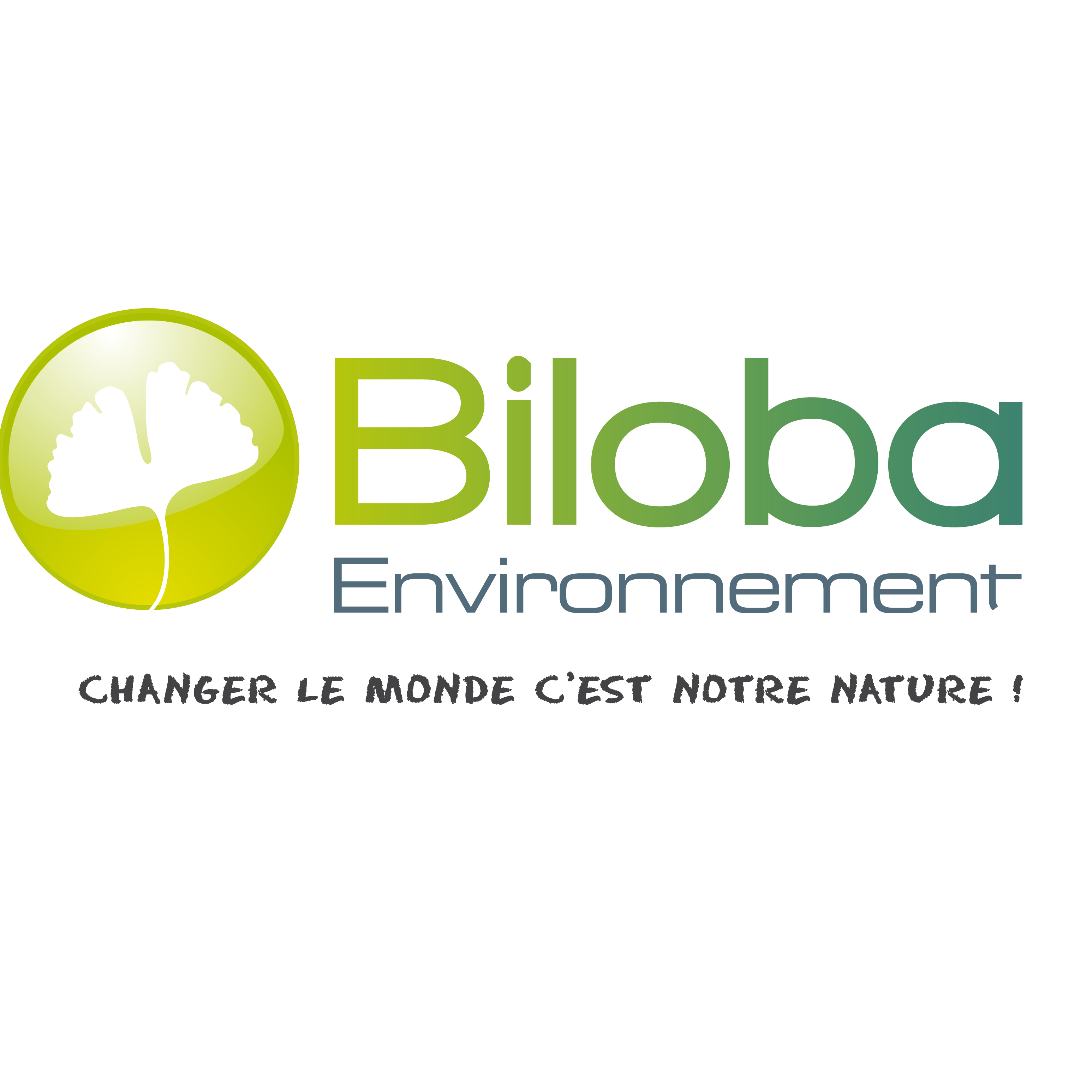 Logo BILOBA Environnement