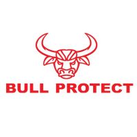 Logo BULL PROTECT