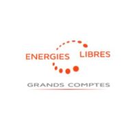Logo de ENEL France