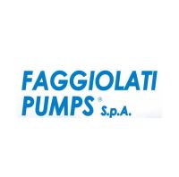 Logo de FAGGIOLATI PUMPS