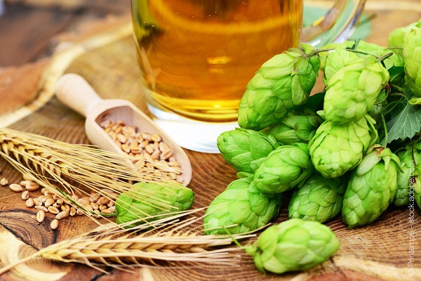Image de présentation Brasseurs : Suivi et contrôle de la qualité de la bière