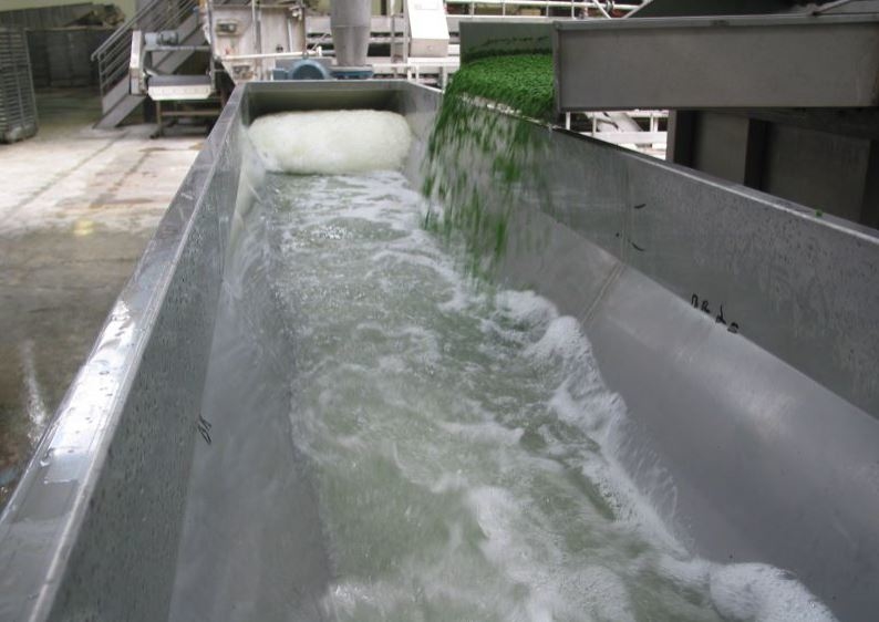 Image de présentation Transfert hydraulique de légumes