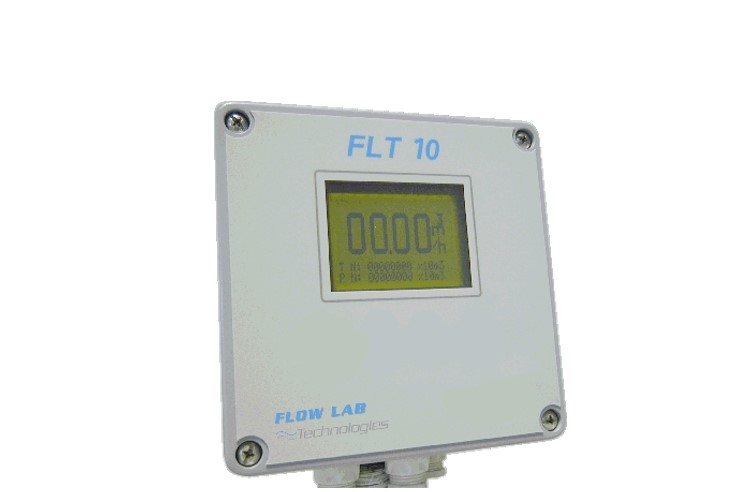 FLT10