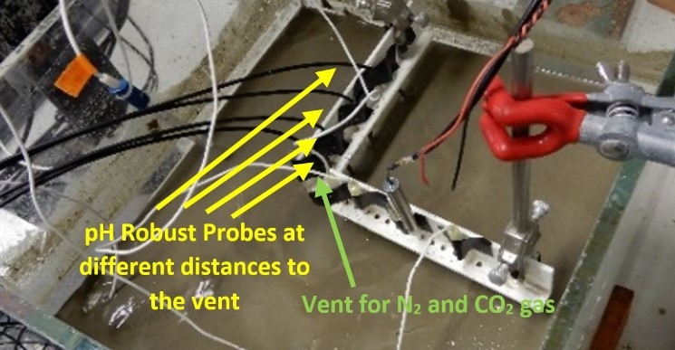 Image de présentation  Changements de pH autour d’un suintement de CO2 en utilisant des sondes robustes de pH dans les sédiments 