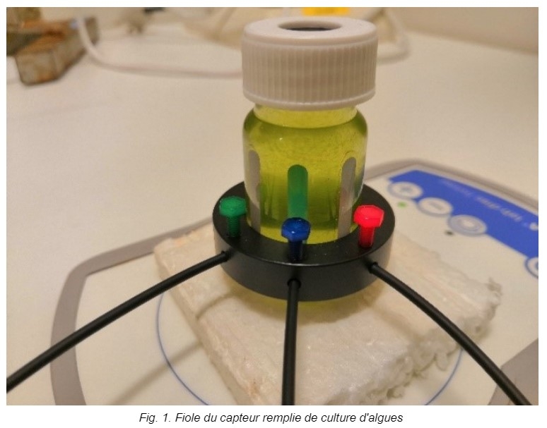 Image de présentation Utilisation des fioles de respiration combinées, avec optodes intégrées O2, pH et température, pour étudier la photosynthèse 