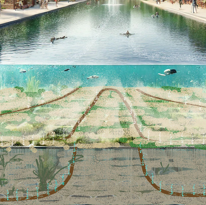 Drausy® Professional Water Solution Drausy® Professional Water Solution