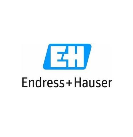Logo de Endress+Hauser SASU