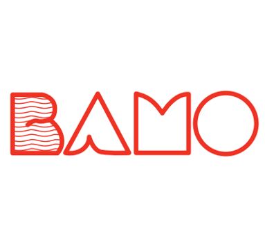 Logo BAMO MESURES