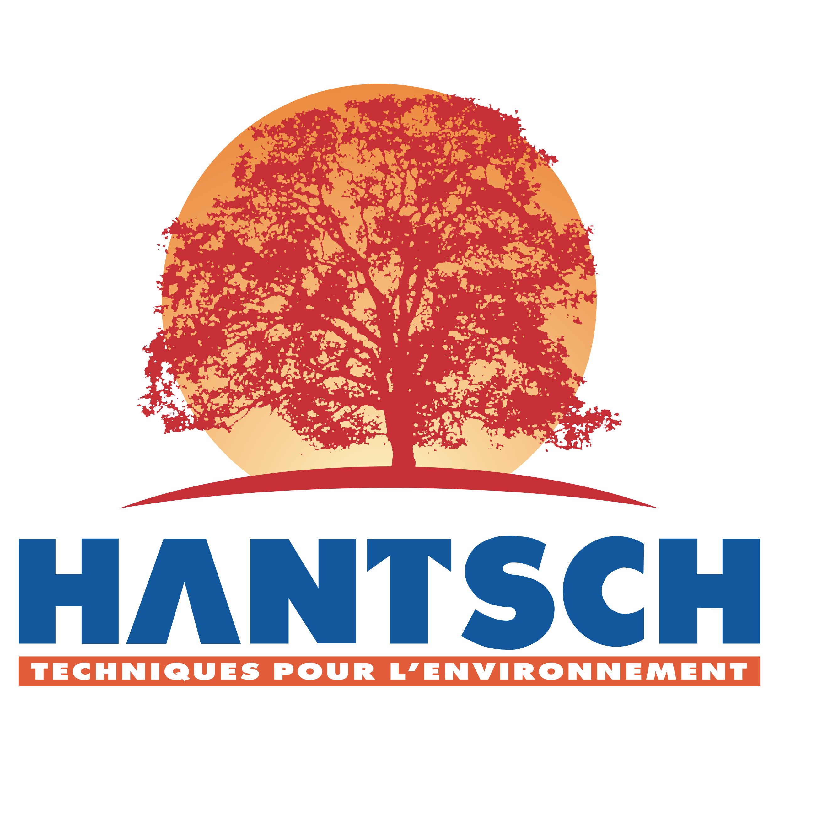 Logo HANTSCH