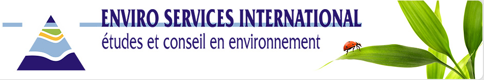 Logo ENVIRO SERVICES France