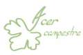 Logo ACER CAMPESTRE