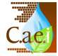 Logo CAEI
