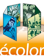 Logo ECOLOR