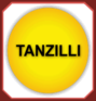 Logo TANZILLI ENTREPRISE
