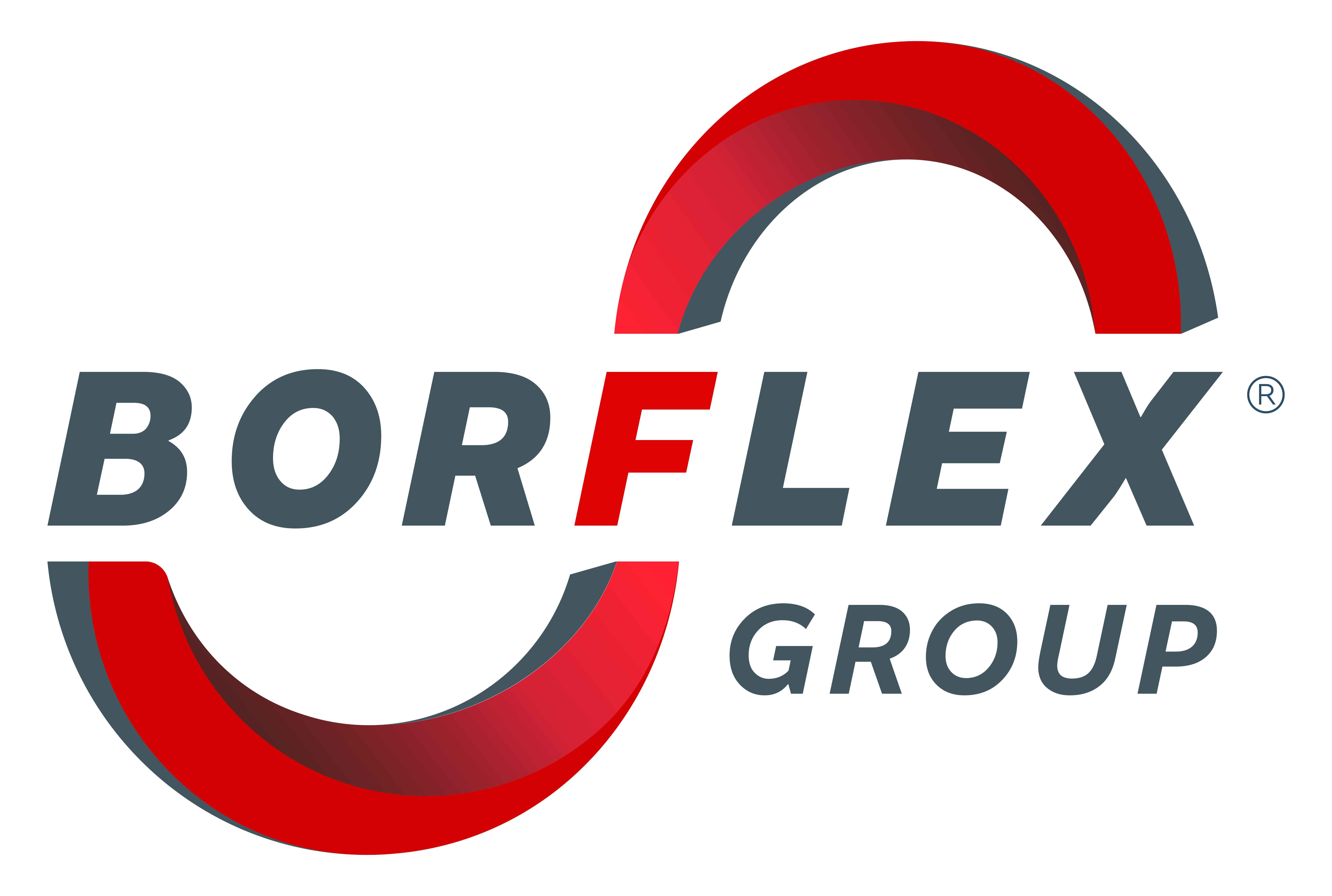 Logo BORFLEX SAS