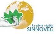 Logo SINNOVEG SARL