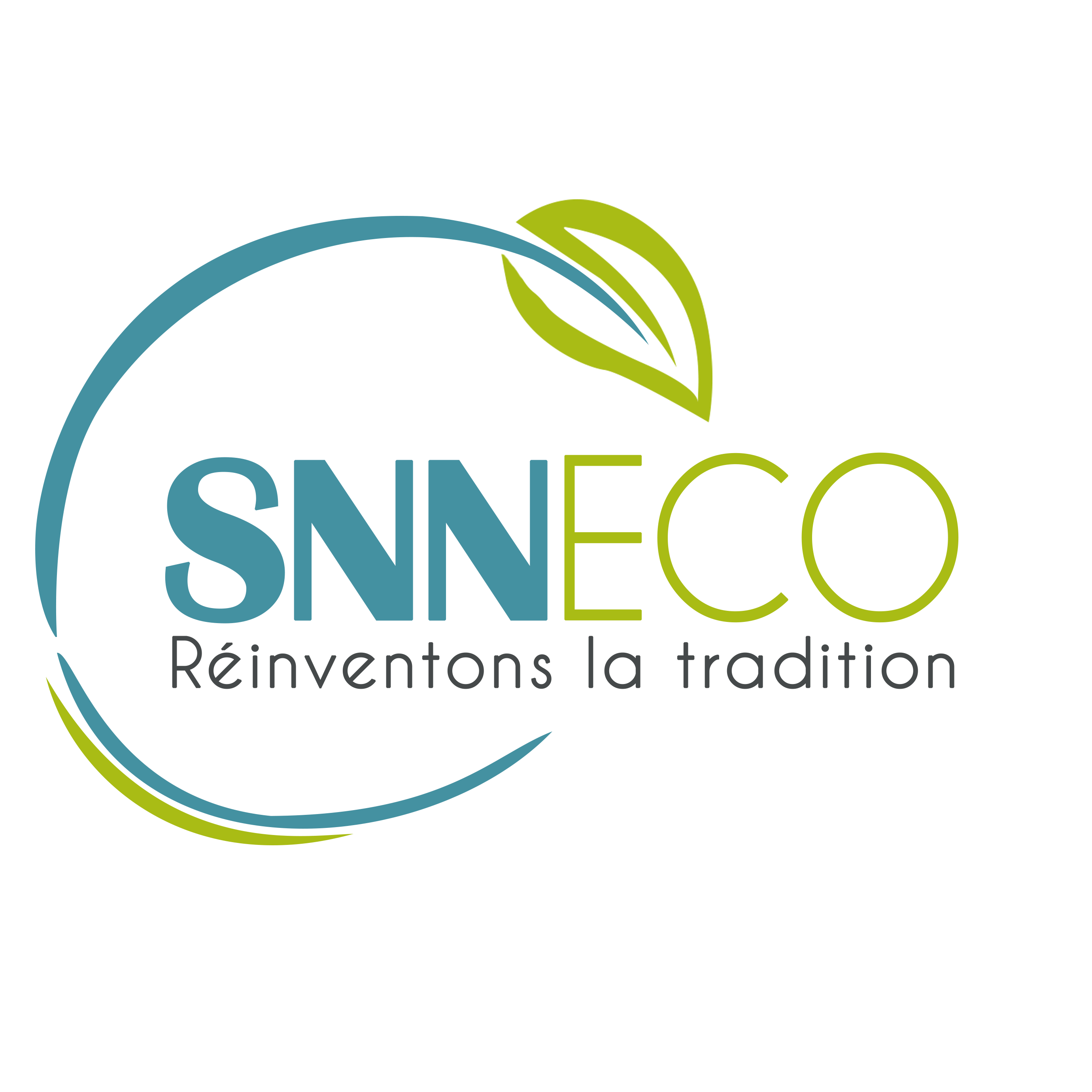 Logo SNN ECO