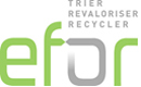 Logo EFOR