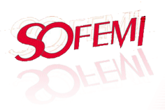 Logo SOFEMI