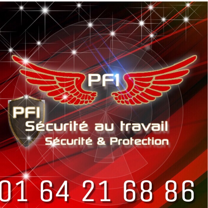 Logo PFI Entreprises - PROTECT FRANCE INCENDIE