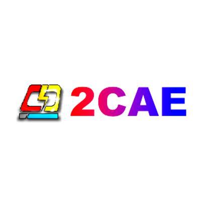 Logo 2CAE