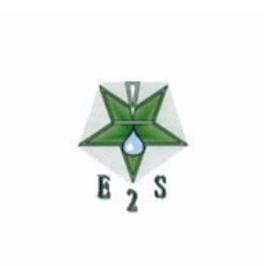 Logo ENVIRONNEMENT SYSTEME SERVICE