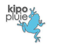 Kipo500 Filtres à eau de pluie - Ekopluie
