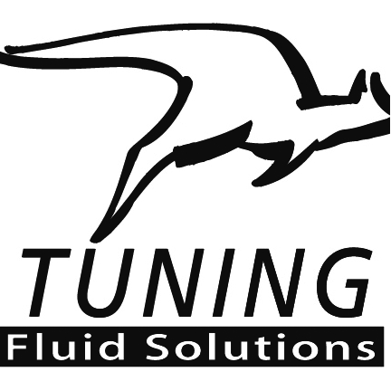 Logo TUNING