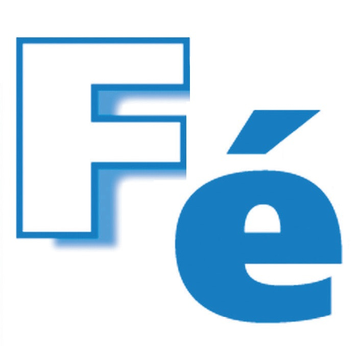 Logo FE GROUP - France Evaporation