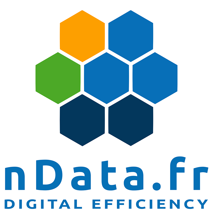 Logo nData