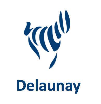 Logo Delaunay Essuyages